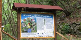 Седмица на отворените врати организират от РИОСВ – Пловдив