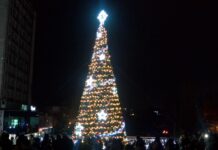 На 4 декември грейва елхата в Асеновград