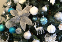 Стартира фотоконкурс