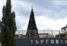 Поставиха елхата в Асеновград