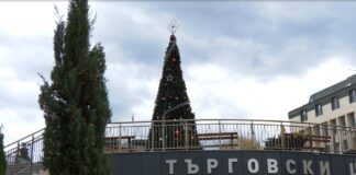 Поставиха елхата в Асеновград