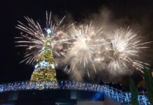 Коледно-Новогодишна програма на Асеновград, 2025