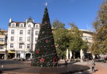 Елхата в Пловдив ще заблести на 2-ри декември