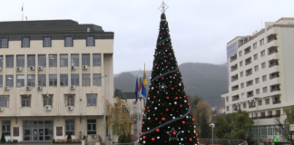 Нова коледна елха краси обновения център