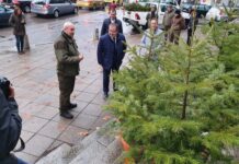 Стартира „Купи елхичка, помогни“