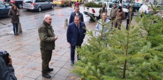 Стартира „Купи елхичка, помогни“