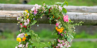 В неделя е Еньовден – празник на слънцето, билките и водата