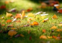 Посрещаме астрономическата есен днес