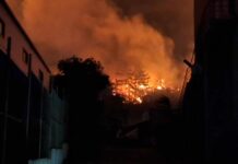 600 декара сухи треви и изоставени лозя изгоряха край стария път за с. Козаново