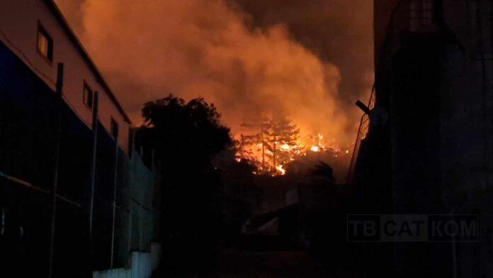 ezgif.com-gif-to-jpg-converter (1)