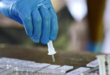 204 новодиагностицирани с К-19 в пловдивско, още един лекар от Асеновград е сред заразените