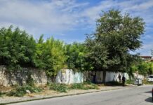 Почистиха издънковата растителност около стадион „Шипка“