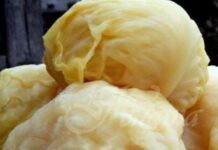 Сезонът на зелето е, в Асеновград то може да бъде открито за около 70 ст. за килограм