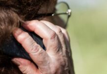 84-годишна жена подари 13000 лева на телефонни измамници