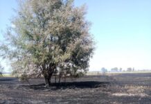 Огнеборци гасиха 8 часа голям пожар край с. Градина