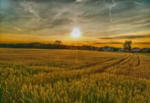 Информационни срещи за запознаване с мерките от СВОМР предстоят в няколко населени места от общините Куклен и Асеновград