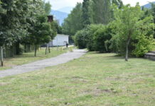 Стартира обработката на зелените площи срещу кърлежи