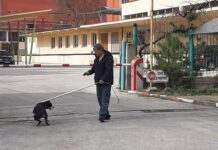 Вижте графиците за улов на бездомни кучета и почистване на шахтите улов на безстопанствени кучета