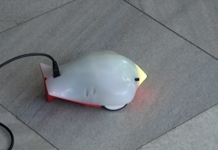 Роботът Финч ще помага на асеновградските ученици в основите на програмирането