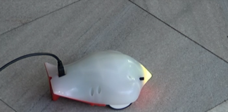 Роботът Финч ще помага на асеновградските ученици в основите на програмирането