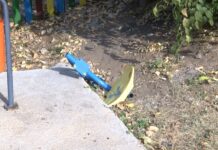 Поредна вандалска проява в Асеновград