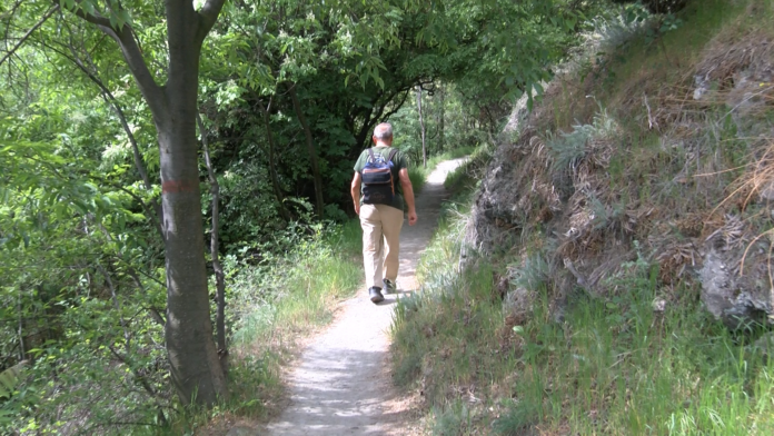 ФИЗИЧЕСКА АКТИВНОСТ