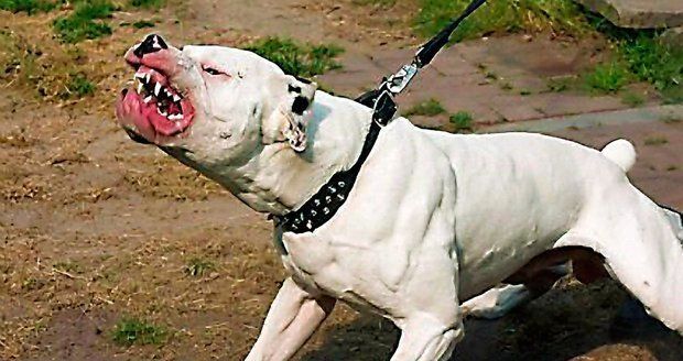 full_fecf7e70-4721-4a3c-ae7e-0e98a64ac2d4