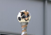 Футболен турнир за Гошко