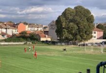 ФК“Асеновец“- Асеновград победи с 4:0 ФК“Атлетик“- Куклен