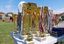 Детски футболен турнир ще се проведе в Асеновград