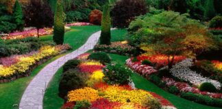 780 хил. лв. за поддържане на зелени площи и озеленяване в Асеновград