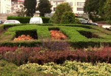 Кметът Караиванов: Претенциите на асеновградчани към озеленяването не трябва да спират, за да се поддържа все по-качествена зелена градска среда