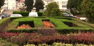 Обществена поръчка на стойност 850 000 лв. без ДДС обяви Община Асеновград за „Поддържане на паркове, зелени площи и озеленяване на територията на община Асеновград”