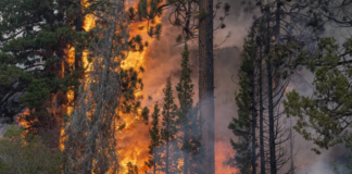 Спешна нужда от доброволци: Голям пожар бушува край село Искра