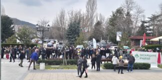 Гората.бг раздаде на асеновградчани 17 100 дръвчета