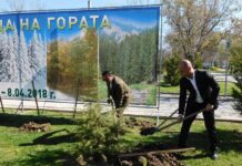 Дадоха старт на Седмицата на гората в Пловдив