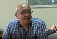 1 лв. за кубик дървесина, засегната от корояди