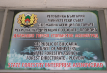 Граждани ще могат да продават горите си на Държавните горски предприятия