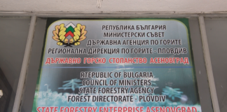 Граждани ще могат да продават горите си на Държавните горски предприятия