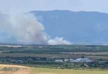 Запалени сухи треви между асеновградски села вдигнаха под тревога четири екипа огнеборци