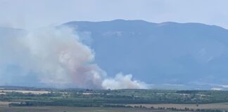 Запалени сухи треви между асеновградски села вдигнаха под тревога четири екипа огнеборци