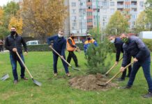 Близо 2000 нови дървета в Пловдив, по желание на граждани