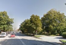 Инвеститорът, отсякъл дървета до Гарата, ще трябва да засади нови 21 градинката до Гарата