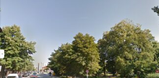 Инвеститорът, отсякъл дървета до Гарата, ще трябва да засади нови 21 градинката до Гарата