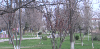 Предстои обновяване на градския парк