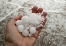 Земеделското министерство обещава, че пострадалите от градушката земеделци ще бъдат обезщетени