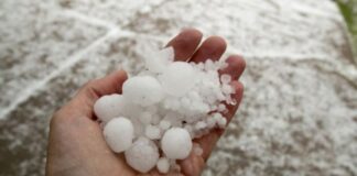 Близо 2500 ха са засегнатите от градушката в пловдивско площи