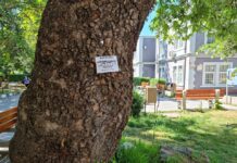 Обработката на зелените площи срещу кърлежи в Асеновград продължава