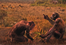 Гостуваща изложба „Зората на човечеството“ в Палеонтологичния музей