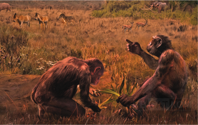 грекопитек възстановка на В. Симеоновски